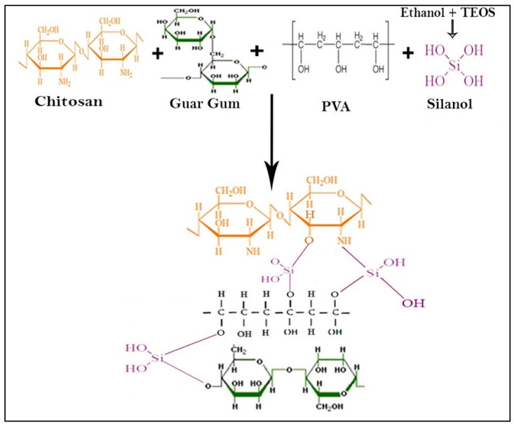 Scheme 1