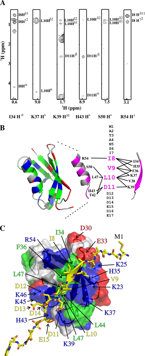 FIGURE 4.