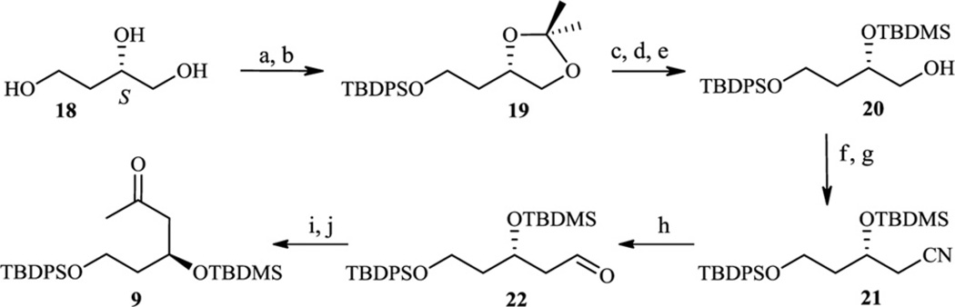 Scheme 5