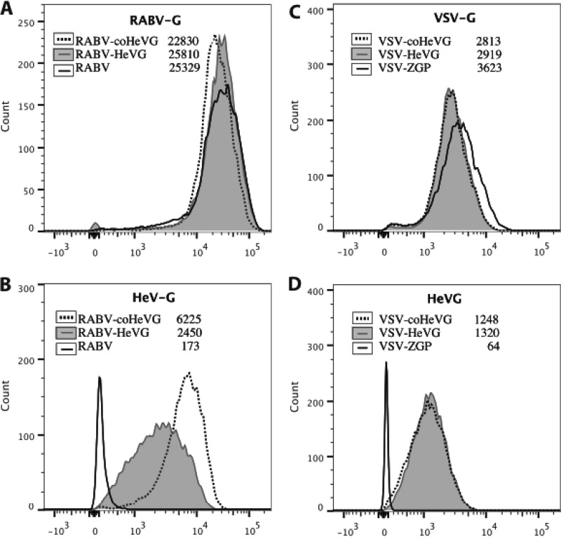 FIG 2