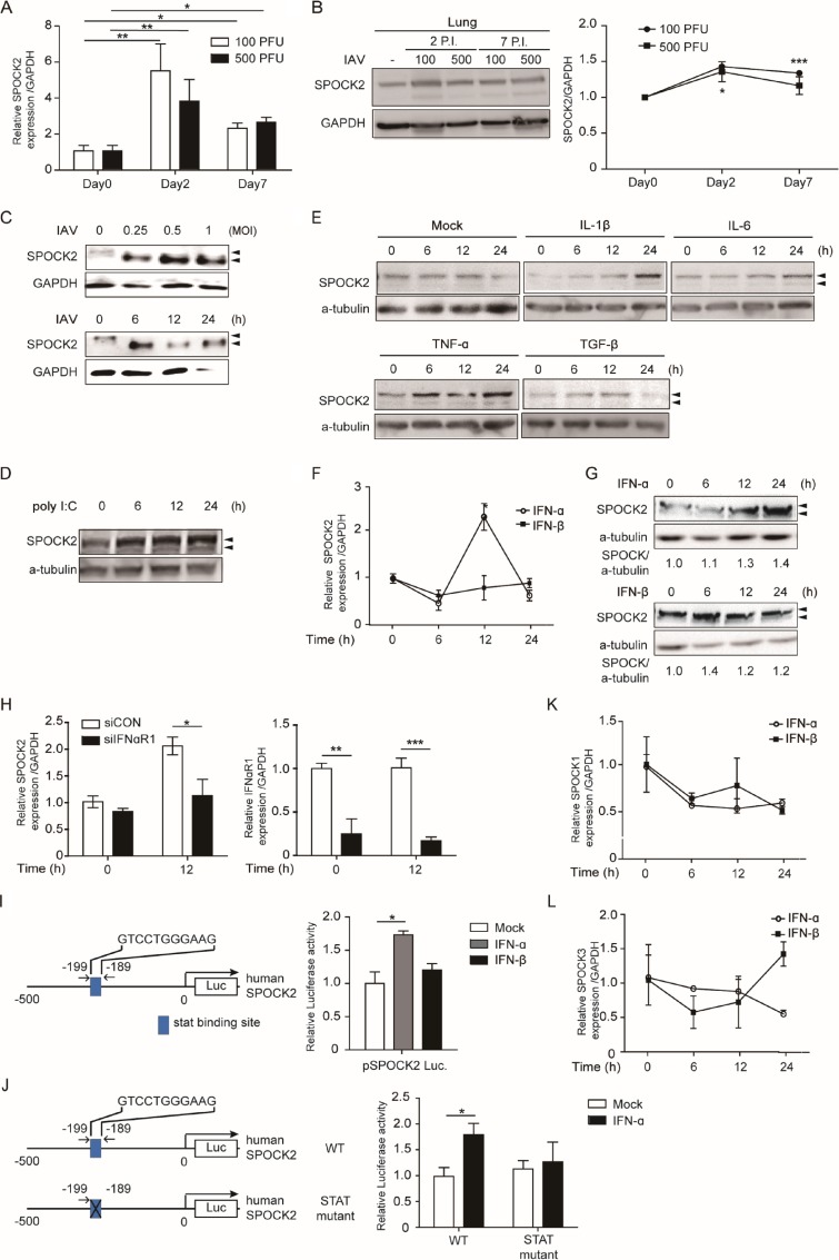 FIG 1