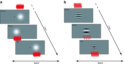 Fig. 1