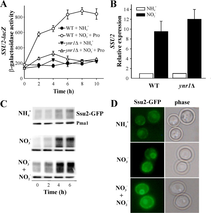 FIG 6