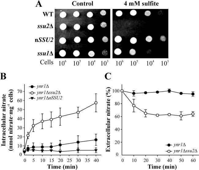 FIG 1