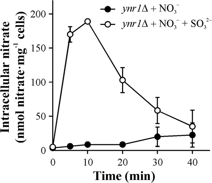 FIG 3