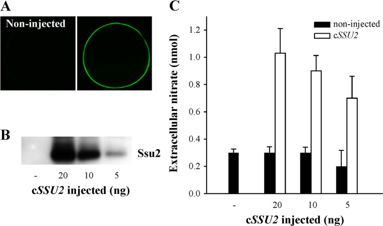 FIG 2