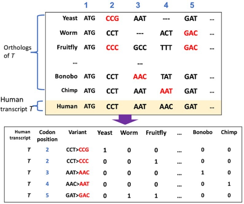 Figure 2.