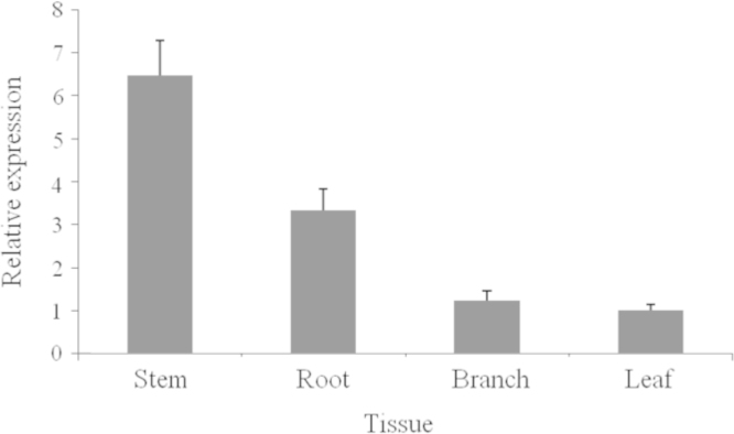 Figure 5