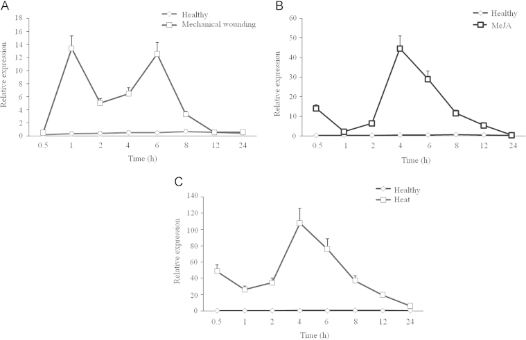 Figure 6