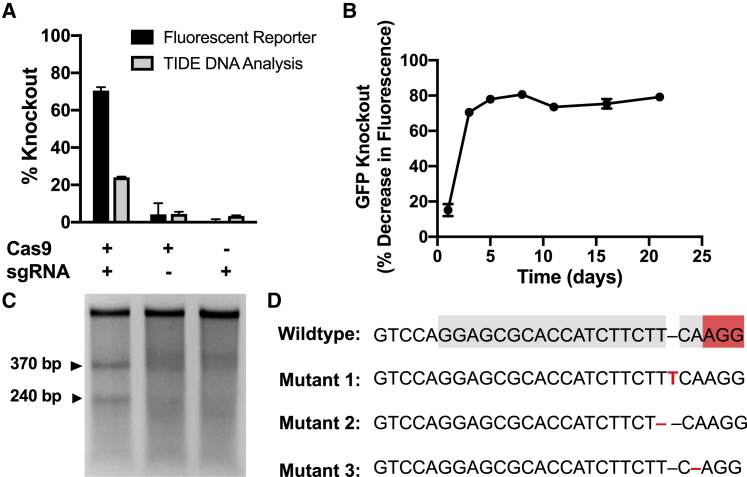 Figure 2