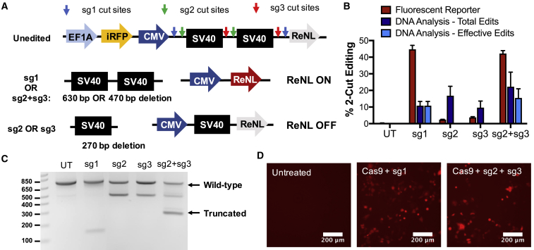 Figure 3