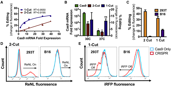 Figure 6