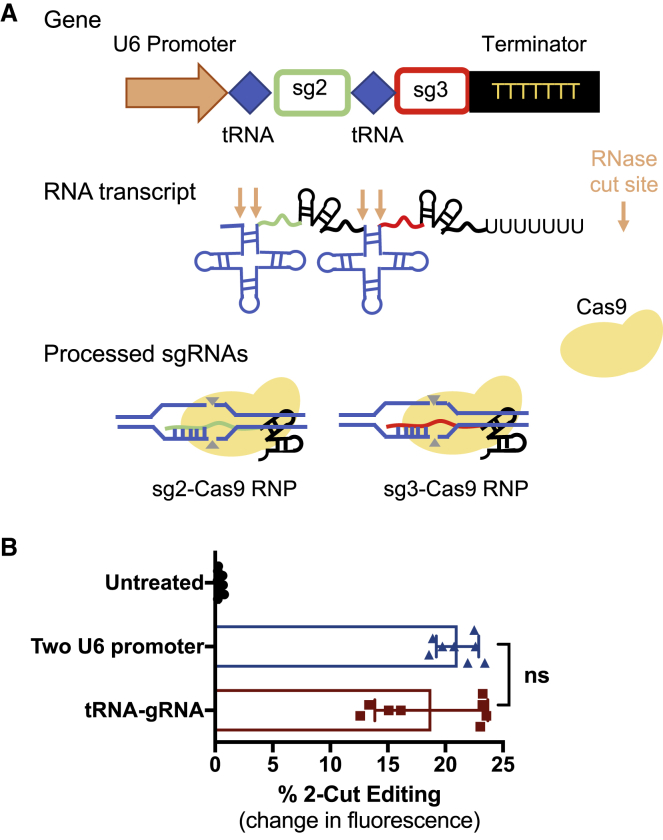 Figure 7