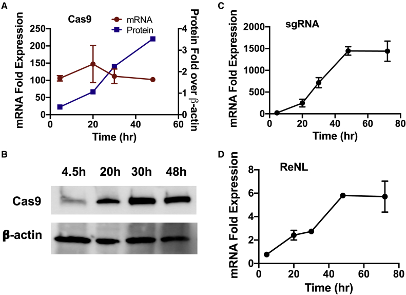 Figure 4