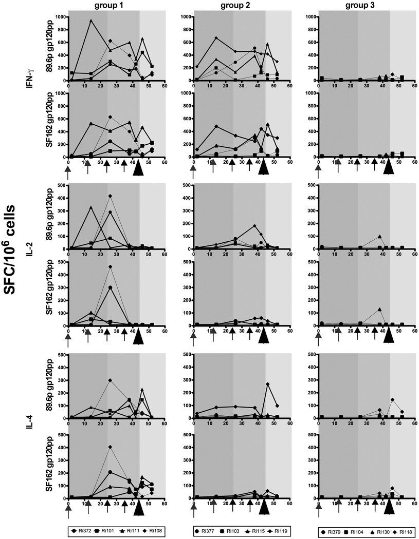 FIG 3