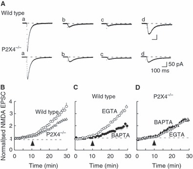 FIG. 6