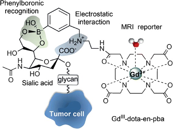 Figure 21