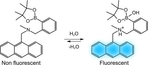 Figure 20