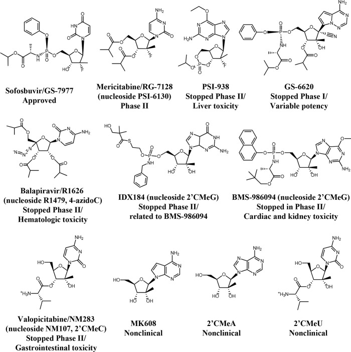 FIG 1