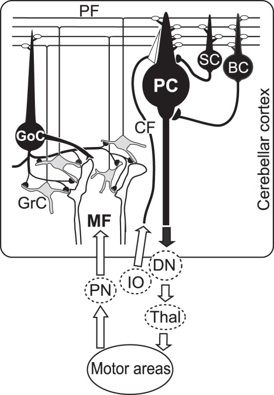 Fig. 1.