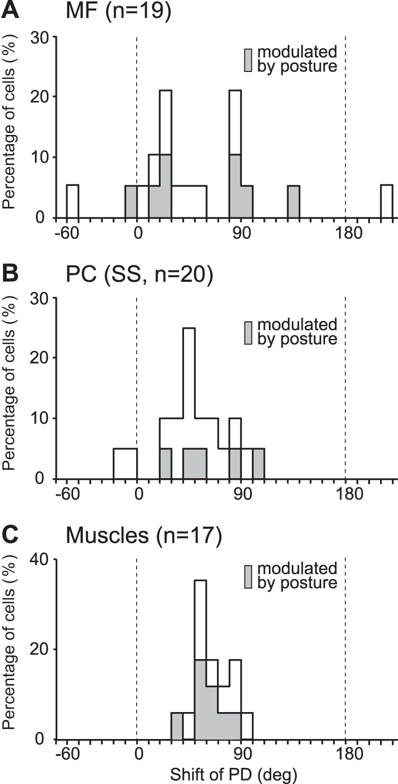 Fig. 10.