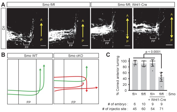 Figure 1—figure supplement 1.