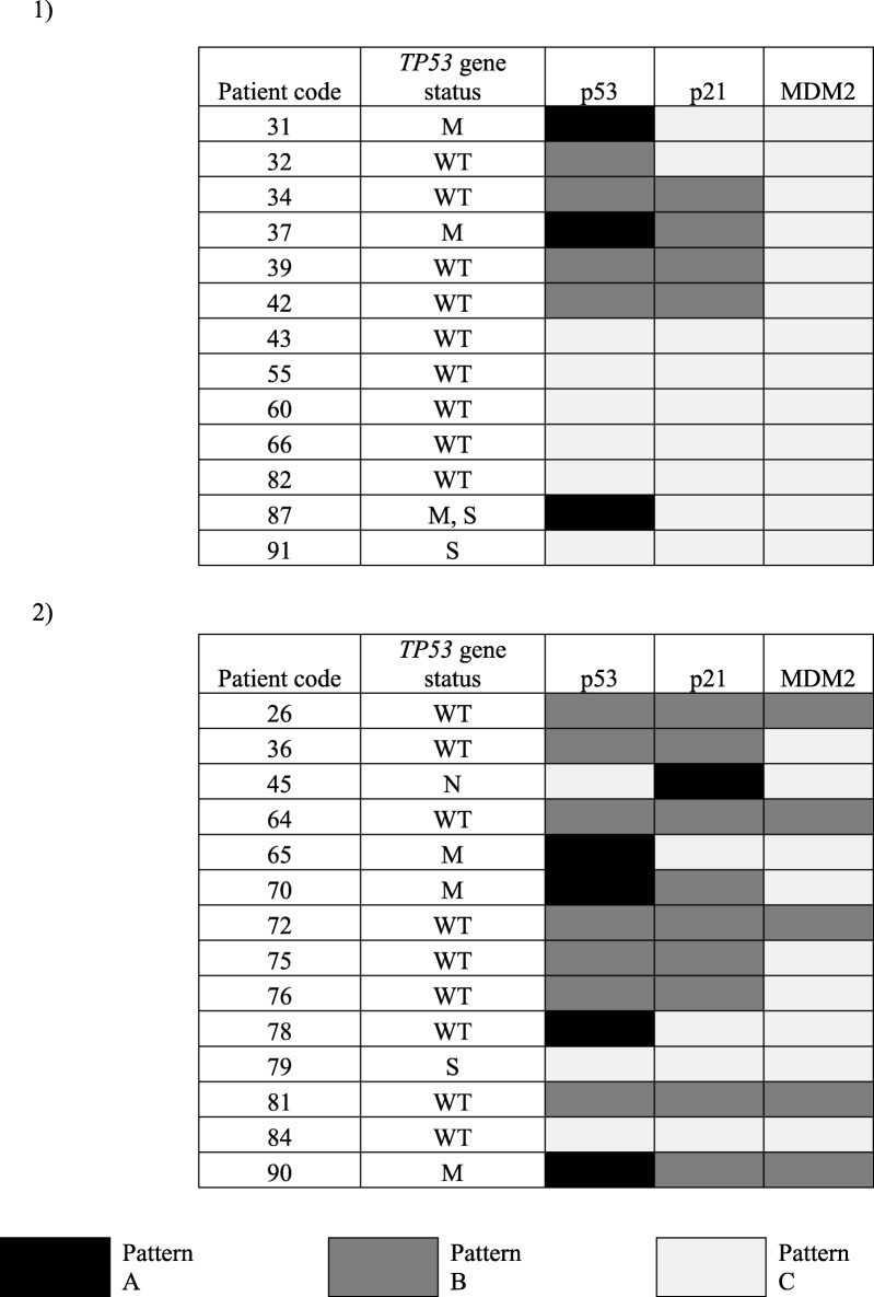 graphic file with name 12885_2020_6573_Tab4_HTML.jpg