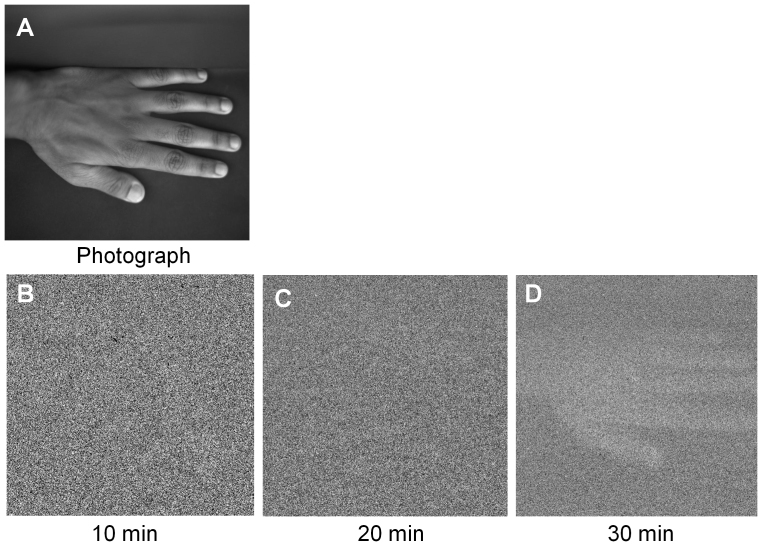 Figure 5