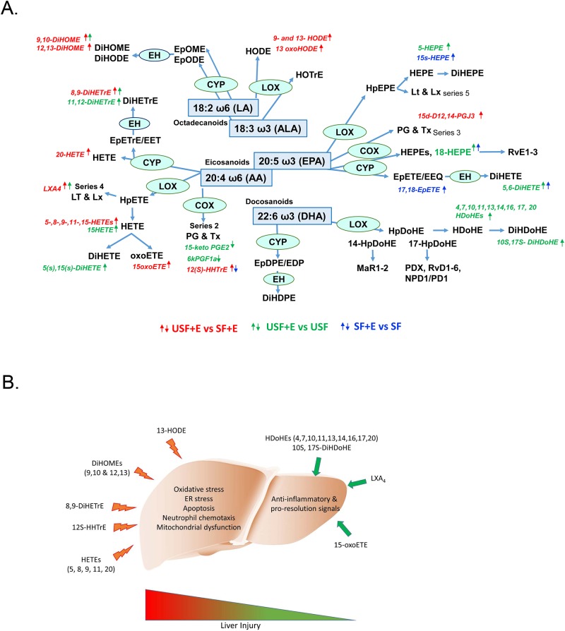 Fig 10