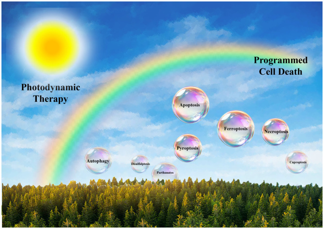 graphic file with name d5md00630a-ga.jpg