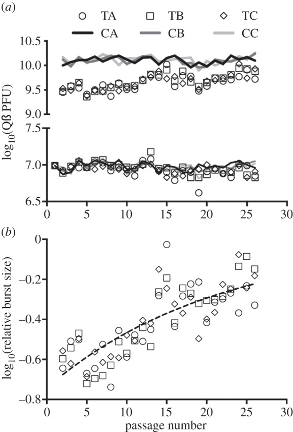 Figure 2.