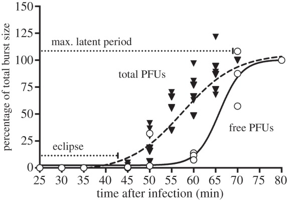 Figure 1.