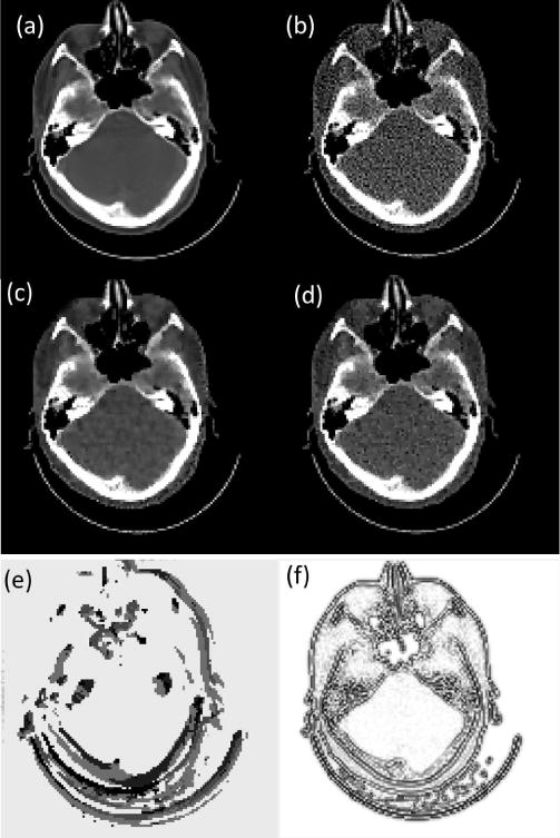 Fig. 8