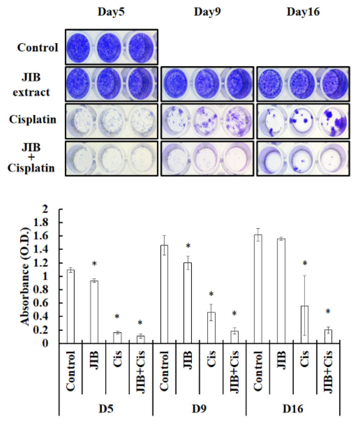 Figure 6