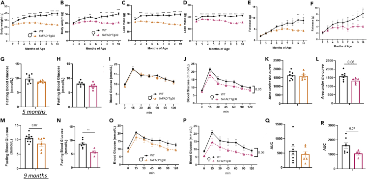 Figure 4