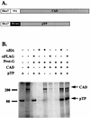 FIG. 6