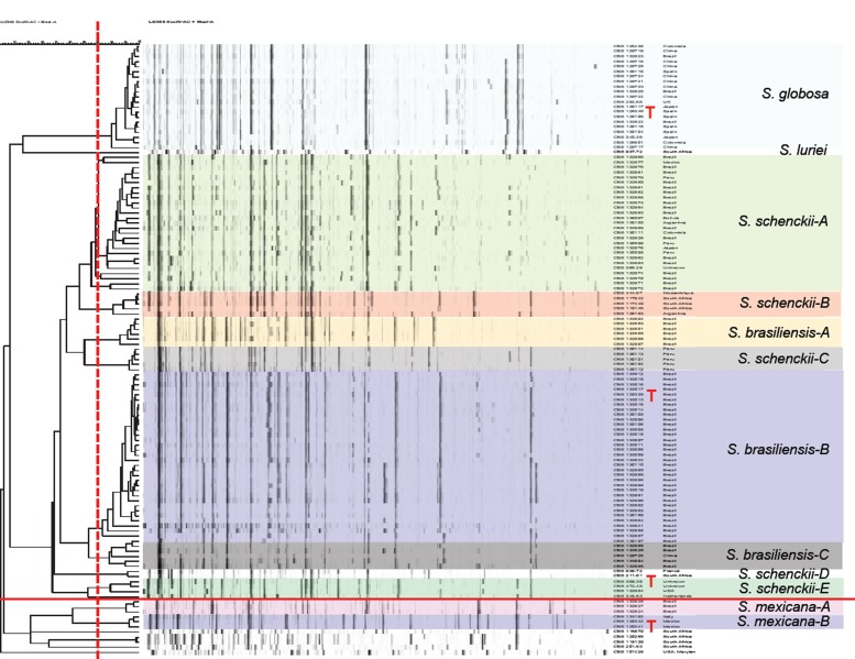 Fig. 4