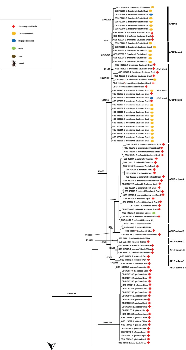 Fig. 3