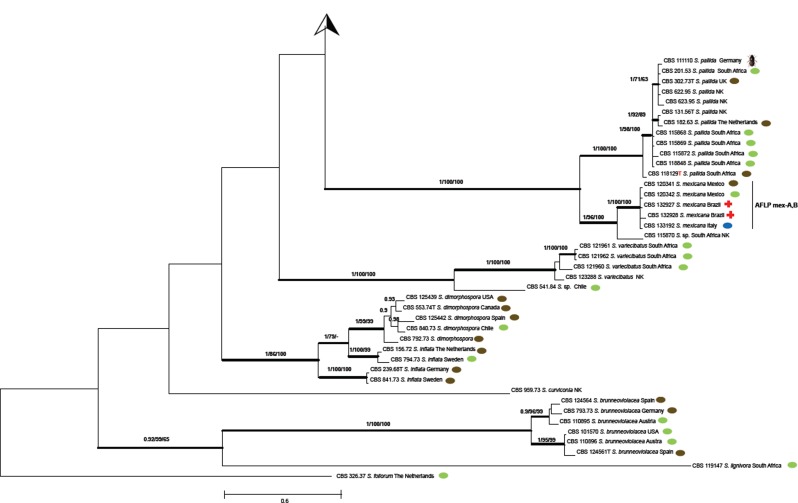 Fig. 3