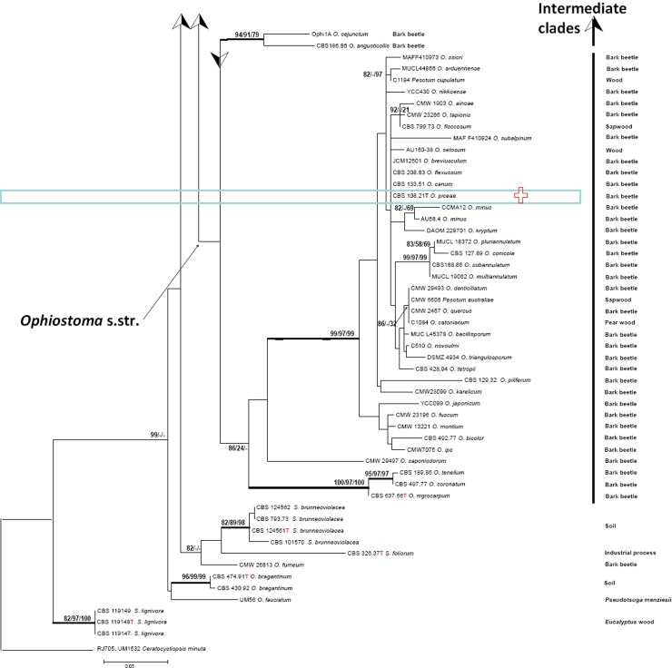 Fig. 2