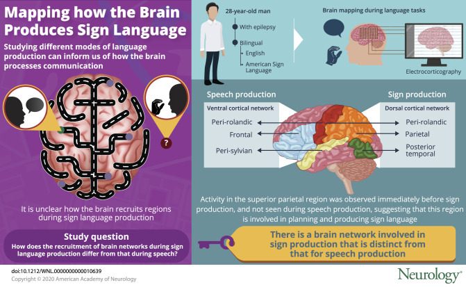 graphic file with name NEUROLOGY2019052340FFU1.jpg