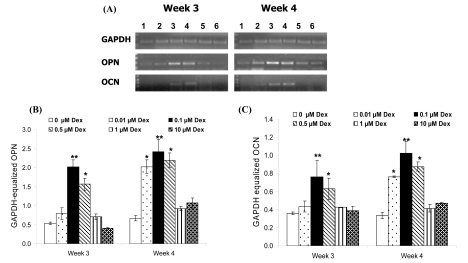 Fig. (4)