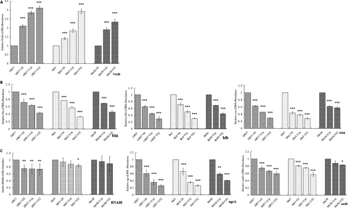 FIG 1