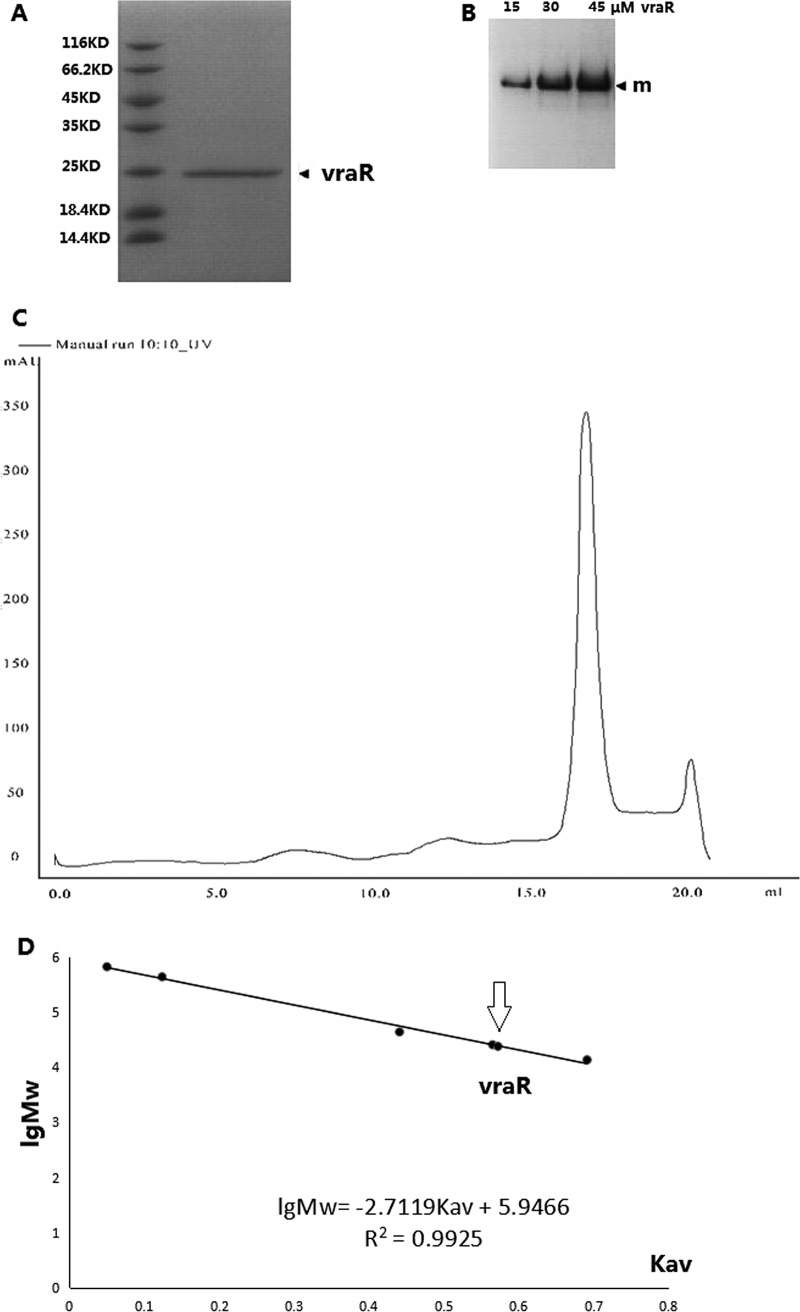 FIG 2