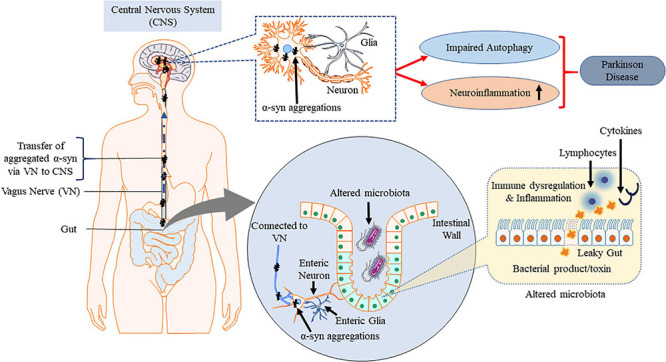 FIGURE 4