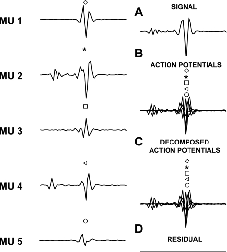 Fig. 2.