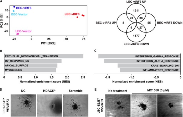 FIG 6 