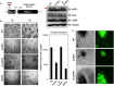 FIG 3