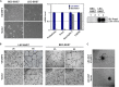 FIG 2