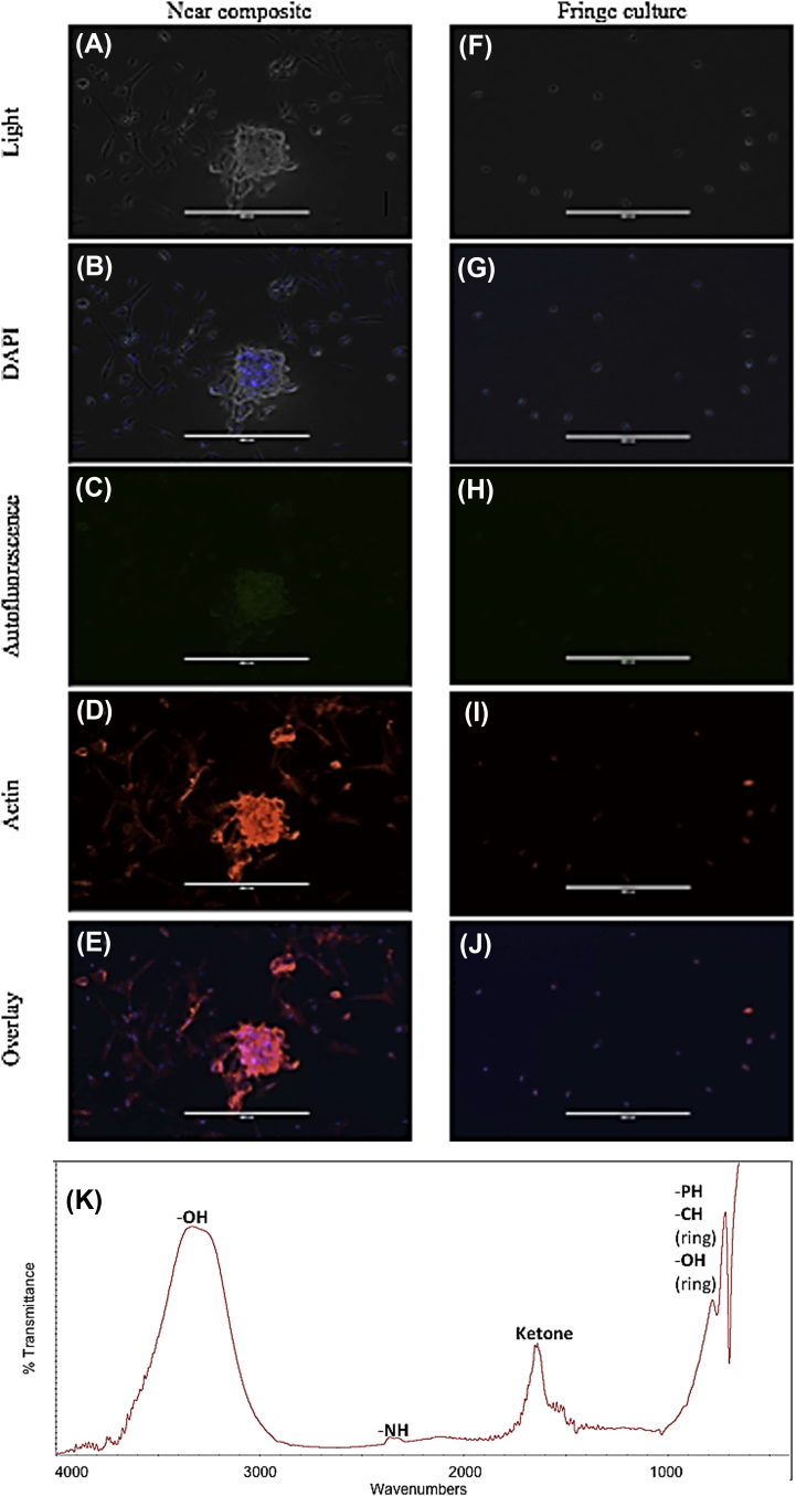 Figure 5